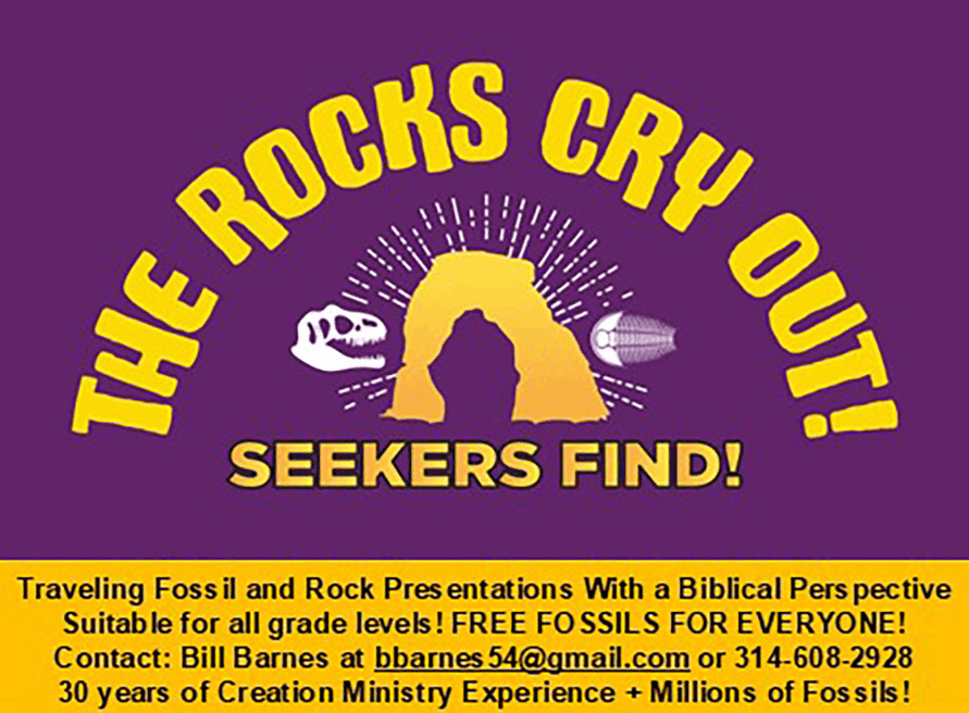 The Rocks Cry Out ad best copy - Copy-io